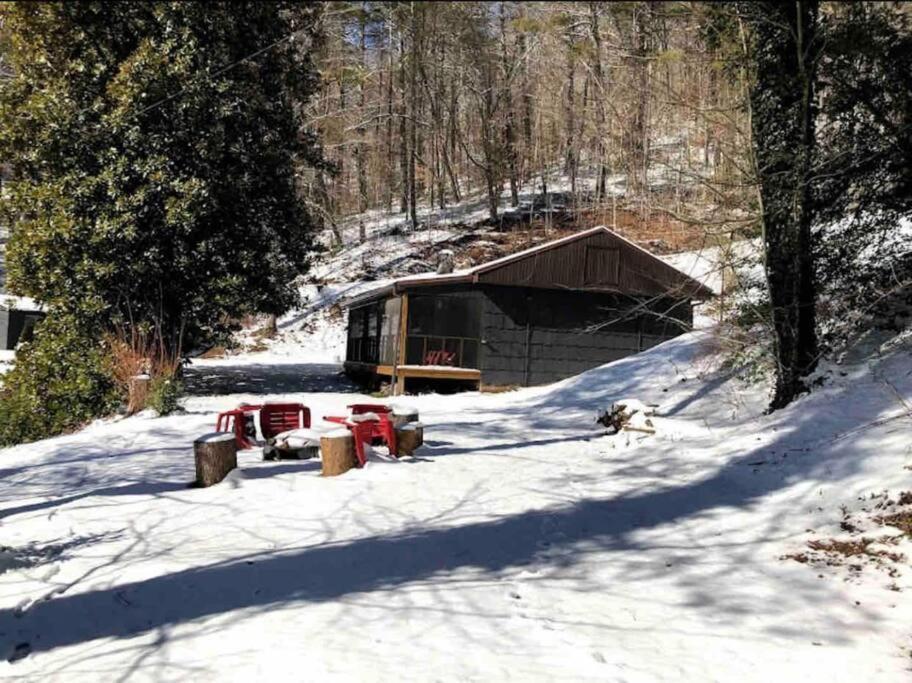 Cabin At The Cove At Watauga Lake Butler Exteriör bild